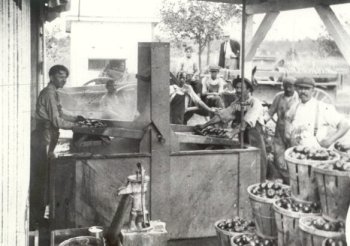 click here for a larger, more detailed image