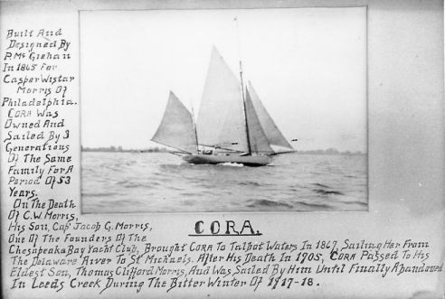 click here for a larger, more detailed image