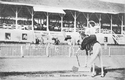 Pocomoke City, MD. Educated Horse at Fair