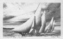 Chesapeake Bay Log Canoes----John Moll